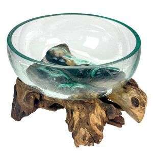 Molten Glass Bowl on Driftwood 10" Hand Blown Decorative Centerpiece Planter